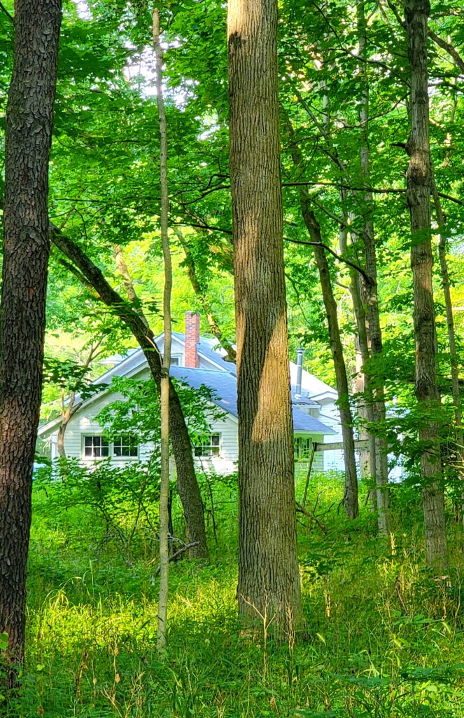 MacGregor Farmhouse through woods copy2