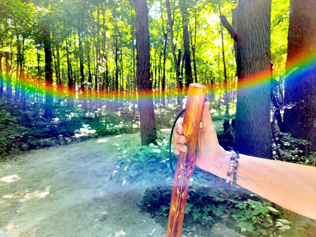 rainbow walking stick copy